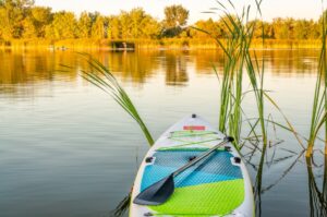 paddleboard3